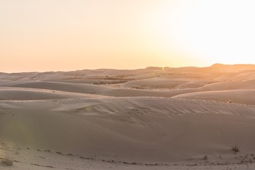 DSC_7076-1