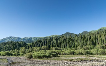 _DSC6046-14