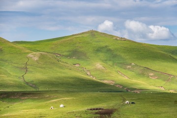 _DSC8904-1