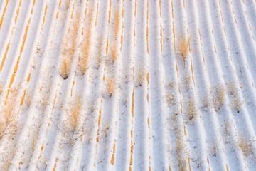 _DSC1485-98