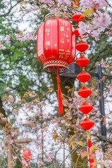 _DSC2461-159