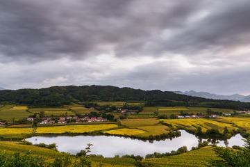 DSC04048-2
