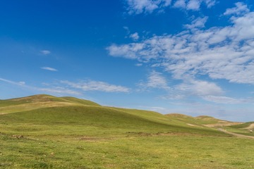 _DSC8823-3