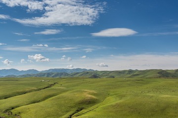 _DSC8901-1