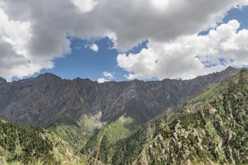 _DSC7248-31