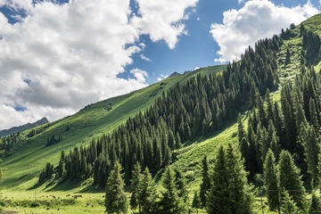 _DSC5799-26