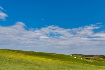 _DSC8950-9