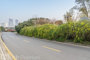 _DSC0243-2