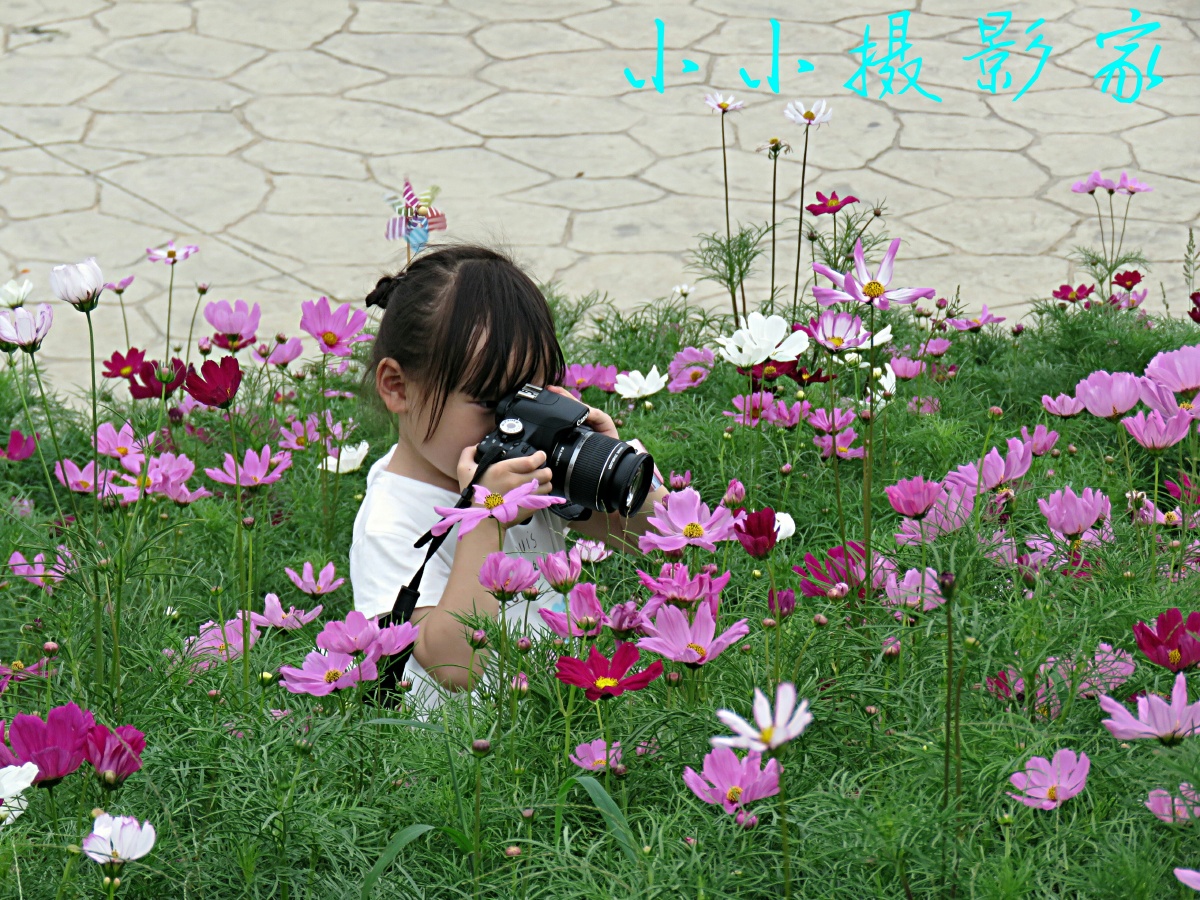 小小摄影家