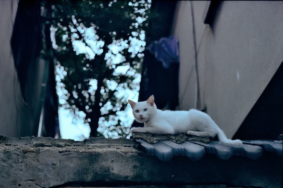 0070920_1<br />
