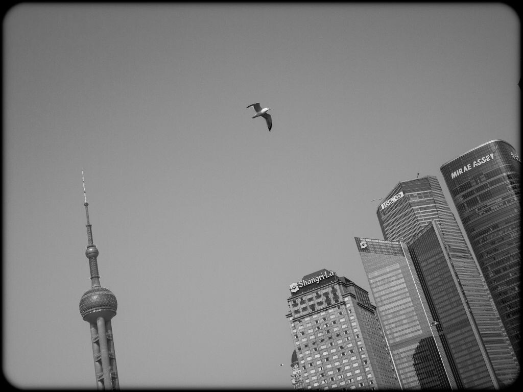 P1110876<br />
