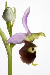 P1010204