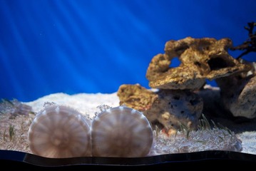 P1020402