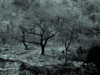 DSC00068 RE.JPG