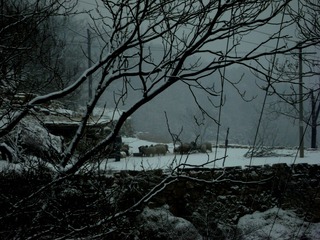 DSC00088 RE.jpg