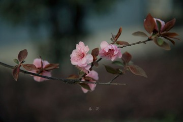 AW1A1214_small.jpg