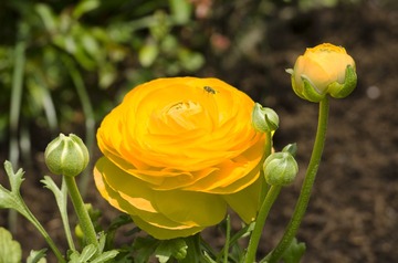 DSC_1568.jpg