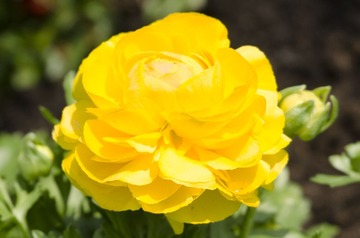 DSC_1572.jpg