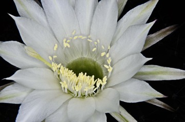 DSC_1085.JPG