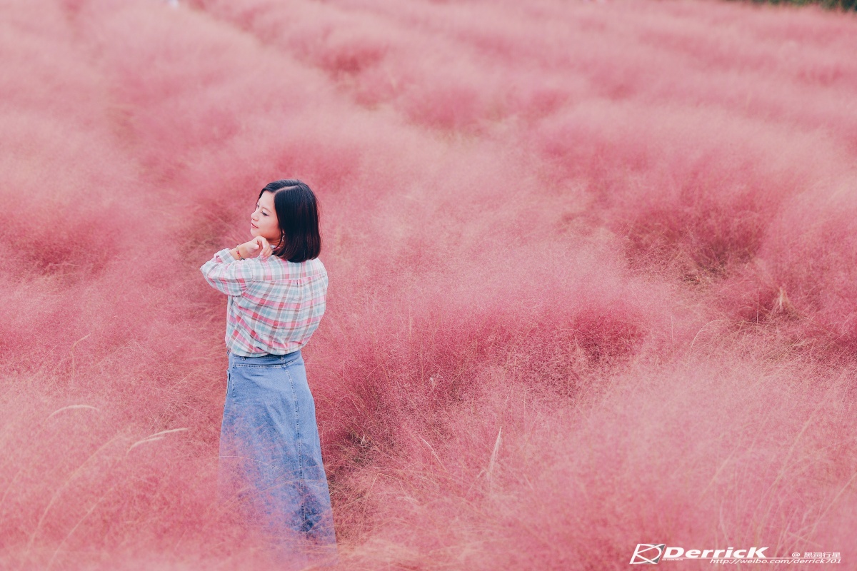 壕熊庄园的粉黛