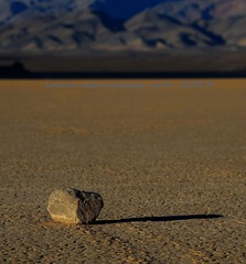 DSC_7803.jpg