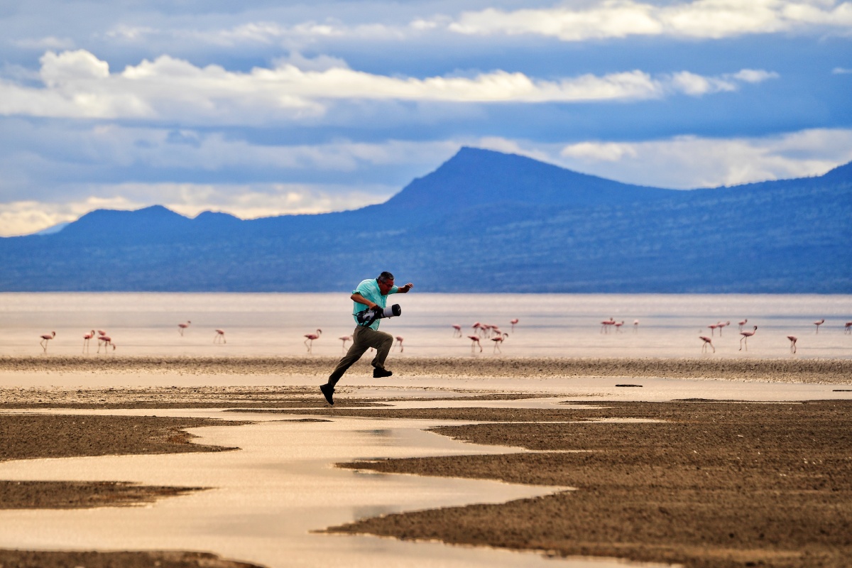 你在天上飞,我在地上追