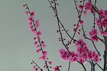 1303230