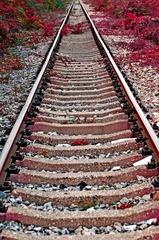 832820