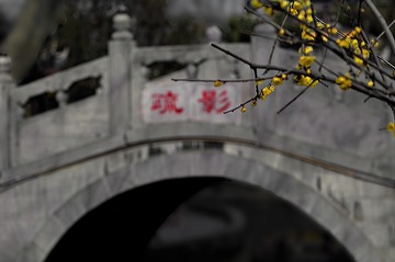 1353019
