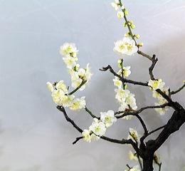 1303228