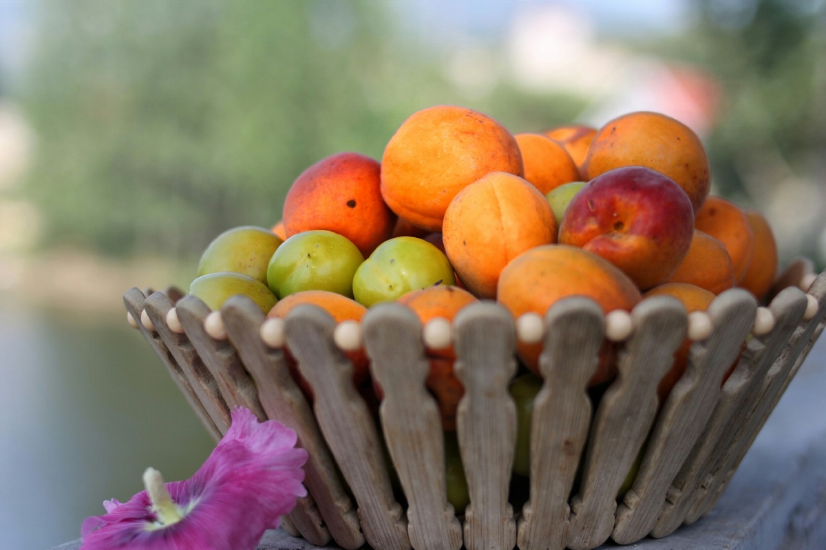 一筐鲜杏,鲜杏一筐