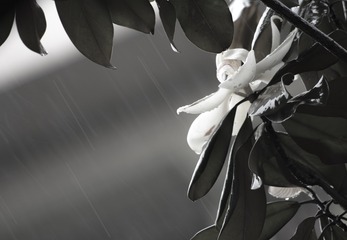 788608
