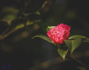572416