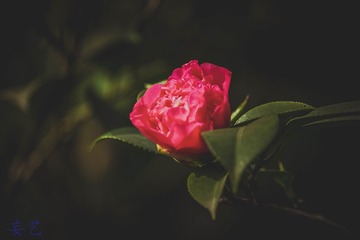 572415