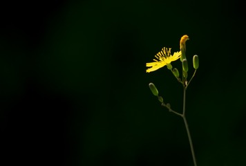 719801