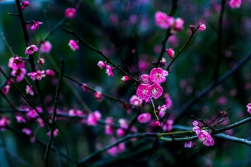 _DSC0891