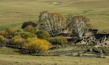 _DSC3603