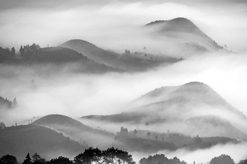 茗岙风光