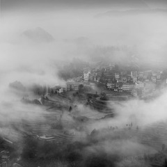 _LHC6448s
