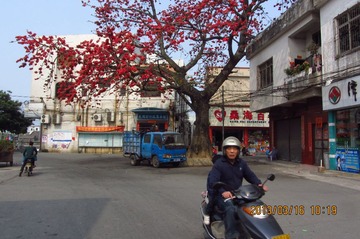 IMG_4890.JPG