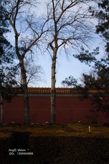 IMG_0122-1.jpg