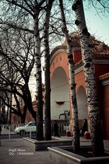 IMG_0129-1.jpg
