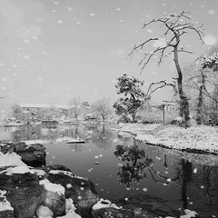 春雪-3_副本.jpg