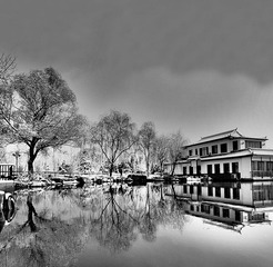 春雪-P3200140.jpg