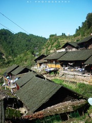 P1130543.jpg