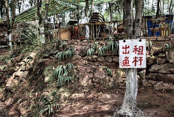 IMG_0250.jpg