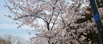 DSC_1028.jpg