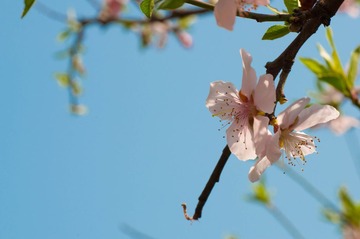 DSC_0017.jpg