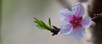 DSC_0035.jpg
