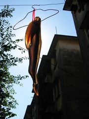 鱼干